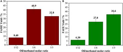 Solid Acid Resin Amberlyst 45 as a Catalyst for the Transesterification of Vegetable Oil